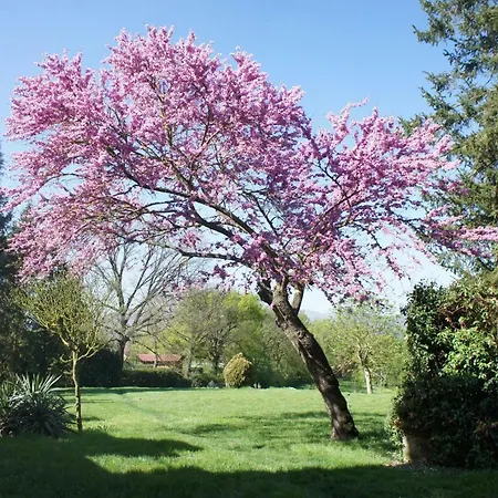Le Rose Al Nibbio In Toscana Hotel 3*