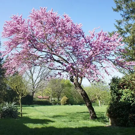 Le Rose Al Nibbio In Toscana Holiday home *